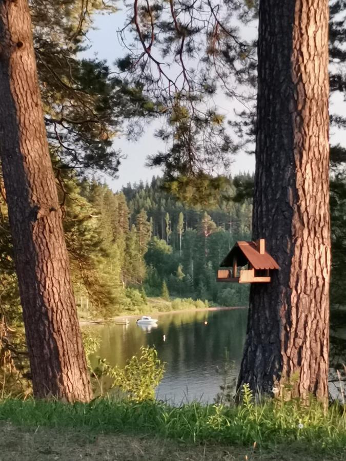 Ferienwohnung Vuori Camp By Saimaa Vuoriniemi Exterior foto